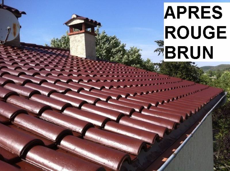 DÉMOUSSAGE ET TRAITEMENT DES TUILES Bien traîté, votre toit vous protège mieux