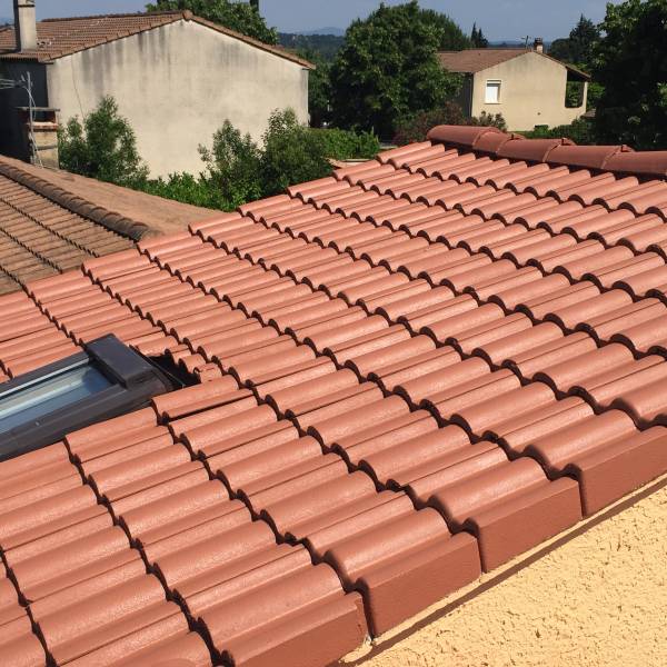 Pourquoi il est important de traiter vos tuiles ?coloris VIEILLE TUILE