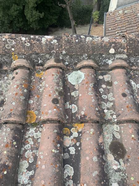 Nettoyage et démoussage de la toiture en tuiles béton à Sauzet 26740